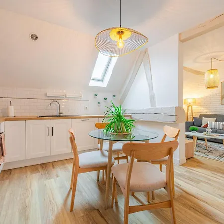 Le Cocon / Duplex De Standing En Centre-ville Apartment *