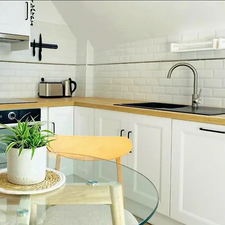 Le Cocon / Duplex De Standing En Centre-ville Apartment *