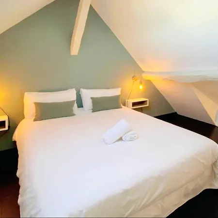 Le Cocon / Duplex De Standing En Centre-ville Apartment