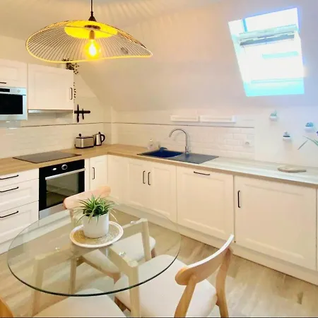 Le Cocon / Duplex De Standing En Centre-ville Apartment